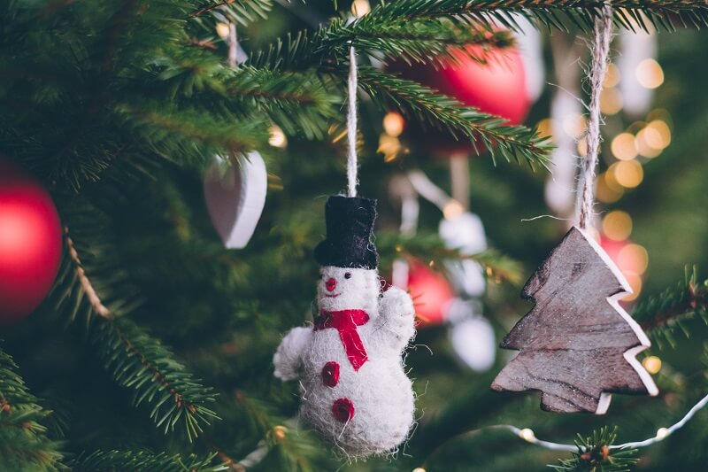 5 Christmas Tree Safety Tips–for Those of Us with Real Trees!