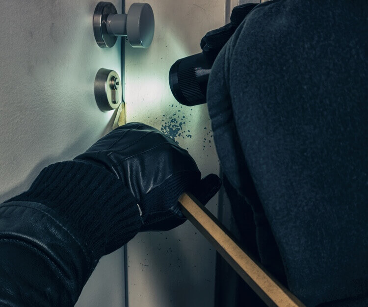 Do-It-Yourself Home Security: Good Idea or Risky Decision?